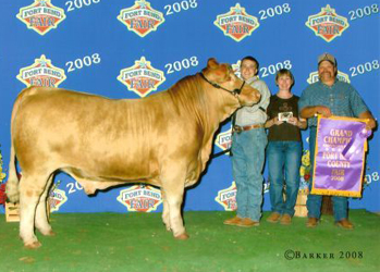 Grand Champion at 2008 Fort Bend County Fair