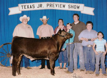 Grand Champion Steer