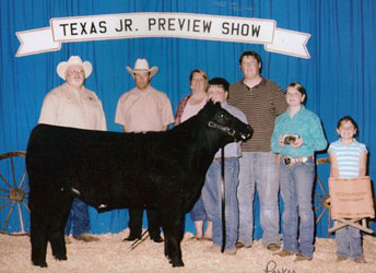 Grand Champion Shorthorn Plus Steer