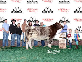 Gramd Champion British Steer